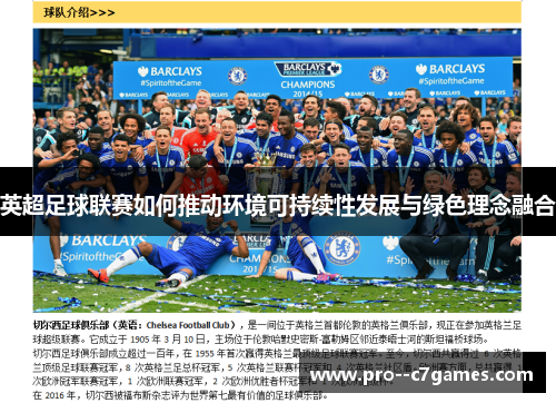 英超足球联赛如何推动环境可持续性发展与绿色理念融合