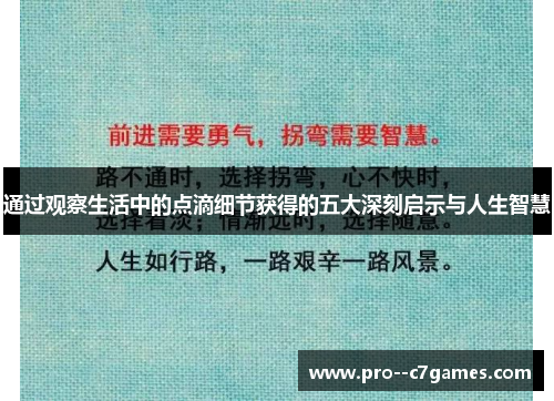 通过观察生活中的点滴细节获得的五大深刻启示与人生智慧